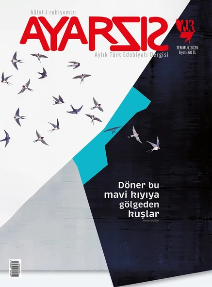 Ayarsız Dergi 113.Sayı Temmuz 2025 ürün görseli