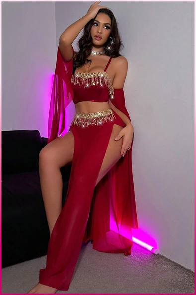 Kadın 3'lü Transparan Gösterişli Takım,Payetli Büstiyer, Yüksek Bel Slip & Uzun Şifon Etek - 5