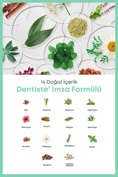 Dentiste Plus White Premium Care Prebiotik Konsept Diş ve Dişetleri İçin Koruma Diş Macunu 100g - 6