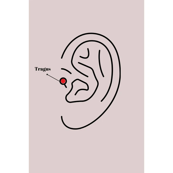 316l Çelik Gümüş Renk Zirkon Taşlı Kelebek Model Tragus Piercing - Tj-pr1327 - 2