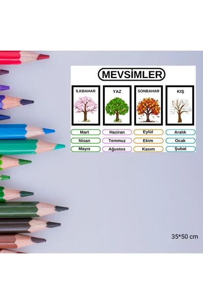 Ti PlayMevsim Eğitici Tablo 35x50 cm Bristol Baskı 02 - 4