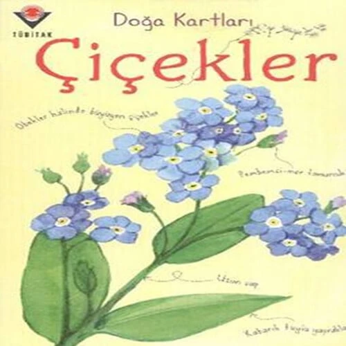 Doğa Kartları - Çiçekler ürün görseli