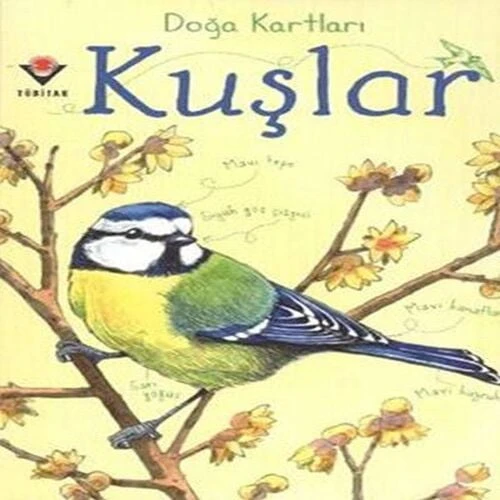 Doğa Kartları - Kuşlar ürün görseli