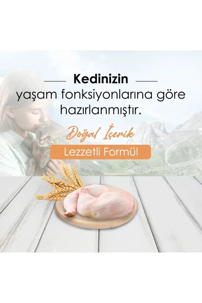 Bonnie Adult Cat Chıcken 10 kg - 2