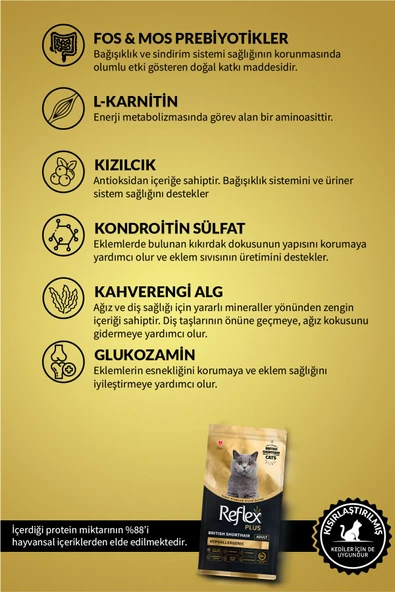 Reflex Plus British Shorthair Yetişkin Kedi Maması 8 Kg - 3