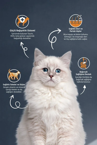 Reflex Sterilsed Somonlu Kısırlaştırılmış Yetişkin Kedi Maması 10 Kg Salmon Rice Cat Food - 2