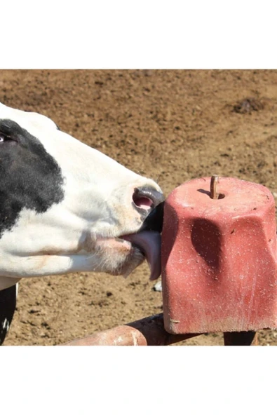 Royal Mineral Block Yalama Taşı 3kg Koli 8 Adet - 2