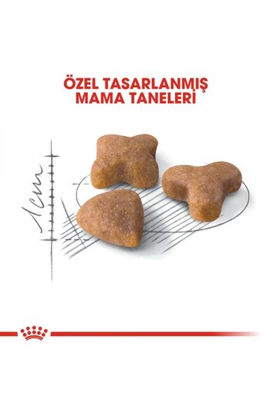 Royal Canin Sensible 33 Hassas Sindirim Sistemi Destekleyici Kedi Maması 4kg - 4