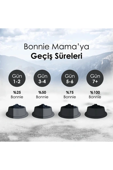 Bonnie Adult Cat Chıcken 10 kg - 4