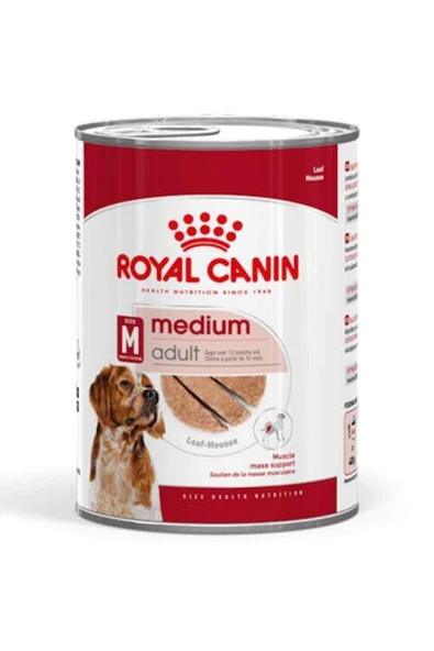 Royal Canin Medium Adult Orta Irk Köpek Konservesi 410 gr