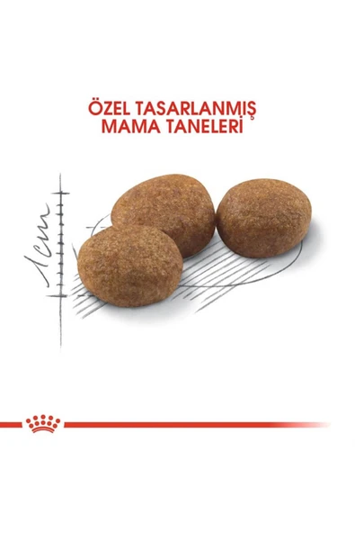 Royal Canin Sterilised 37 Kısırlaştırılmış Kuru Kedi Maması 10 Kg - 3