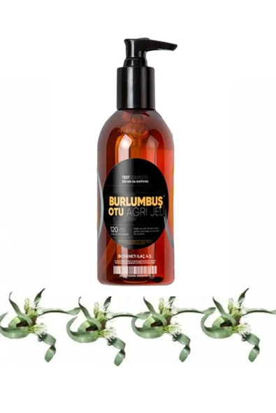 Burlumbuş Otu Vücut Sızıları İçin Bakım Masaj Jeli 120 ml x 1 adet