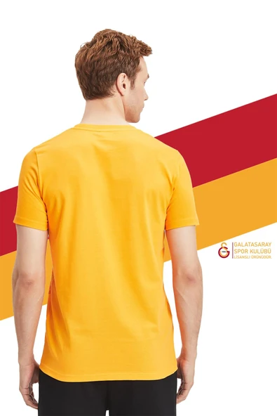 Galatasaray Orijinal Lisanslı Aslan Baskılı Sarı T-Shirt Gs Aslan Baskılı Hediyelik Ahşap Kutulu - Resim 3