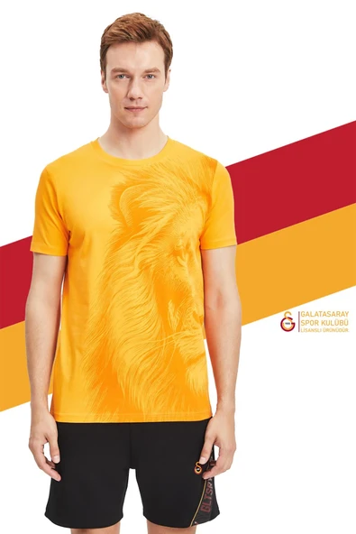 Galatasaray Orijinal Lisanslı Aslan Baskılı Sarı T-Shirt Gs Aslan Baskılı Hediyelik Ahşap Kutulu - Resim 2