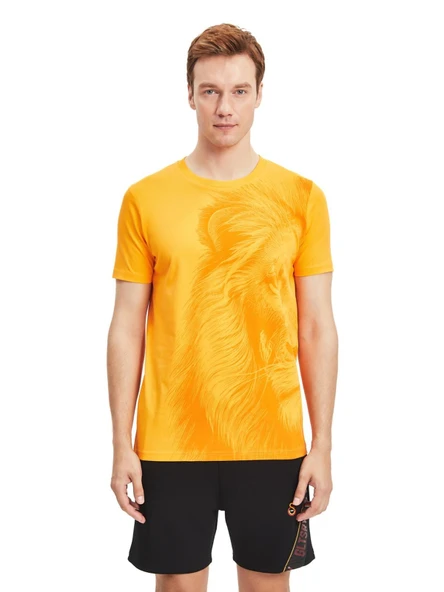 Galatasaray Orijinal Lisanslı Aslan Baskılı Sarı T-Shirt Gs Aslan Baskılı Hediyelik Ahşap Kutulu - Resim 4