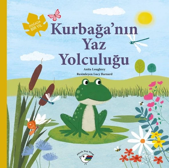 Kurbağa’nın Yaz Yolculuğu – Doğada Bir Yıl ürün görseli