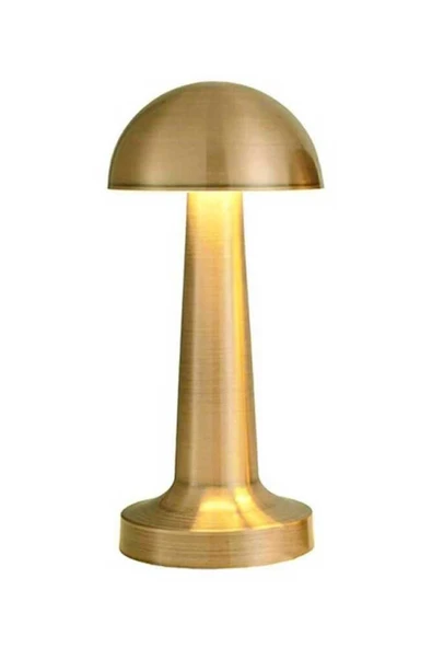 Forlife thestrex FL-8055 Mix Seyhan Şarjlı Led Masa Lambası Lifethe 657515 ürün görseli 1