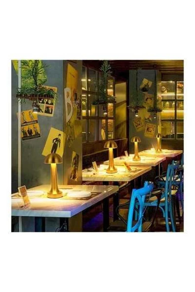 Forlife thestrex FL-8055 Mix Seyhan Şarjlı Led Masa Lambası Lifethe 657515 - Resim 3