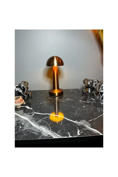 Noas Şarj Edilebilir Bronz Renk Ayarlanılabilir Işıklı Mantar Masa Lambası - Resim 3