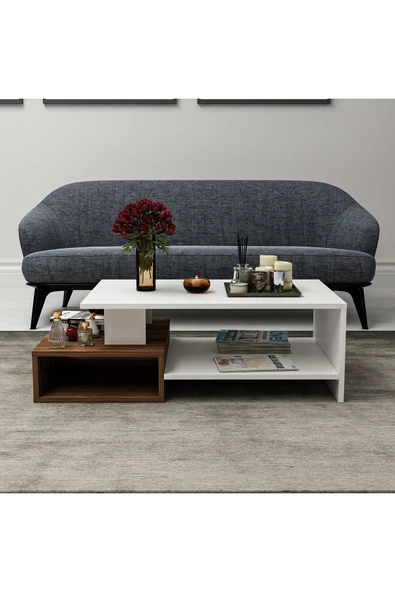 Betroya Dux Dekoratif Orta Sehpa Beyaz / Kemençe - 4