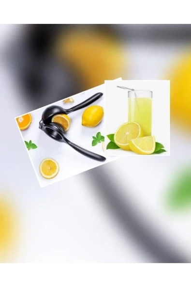 Elista Gerçek Döküm Limon Portakal Narenciye Sıkacağı 23 cm - Resim 2