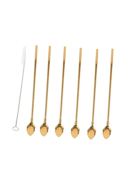 Tomurcukhome 6'lı Paslanmaz Gold Pipetli Latte Kaşığı Kokteyl Kaşığı Ve Temizleme Fırçası, 22 Cm Yaprak Model