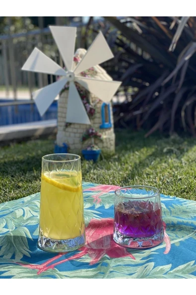 Paşabahçe Leafy Set Bardağı 12'li 420955-420855-420194 - Resim 3