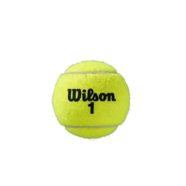 Wilson Roland Garros Clay Court 3'lü Tenis Topu WRT125000 - 11