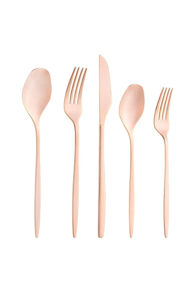 Alisa 30 Parça 6 Kişilik Parlak Bronz Kutulu Çatal Kaşık Bıçak Takımı - 4