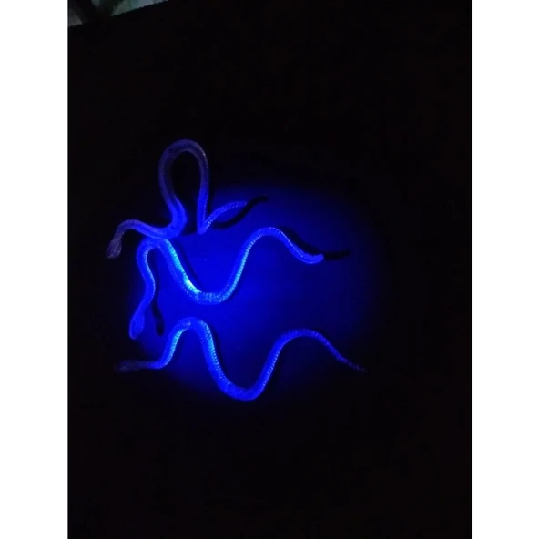 Şaka Yılan Ve Kırkayak Karışık 36 Adet - Resim 5