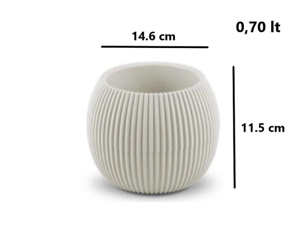 Omnipazar KRS Mercan Dekoratif Sukulent Kaktüs Plastik Saksı Takımı 3'lü Set Bej - Resim 6