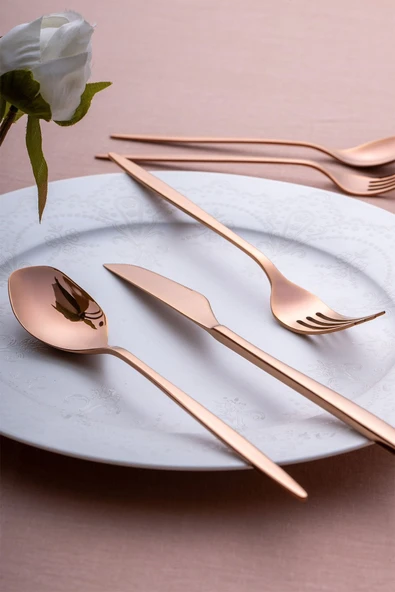 Alisa 30 Parça 6 Kişilik Parlak Bronz Kutulu Çatal Kaşık Bıçak Takımı - 2