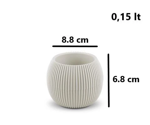 Omnipazar KRS Mercan Dekoratif Sukulent Kaktüs Plastik Saksı Takımı 3'lü Set Bej - Resim 4