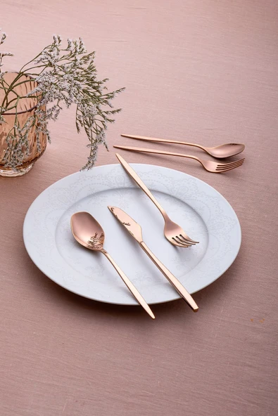 Alisa 30 Parça 6 Kişilik Parlak Bronz Kutulu Çatal Kaşık Bıçak Takımı - 3