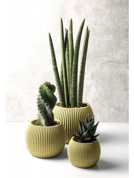 Omnipazar KRS Mercan Dekoratif Sukulent Kaktüs Plastik Saksı Takımı 3'lü Set Soft Sarı ürün görseli