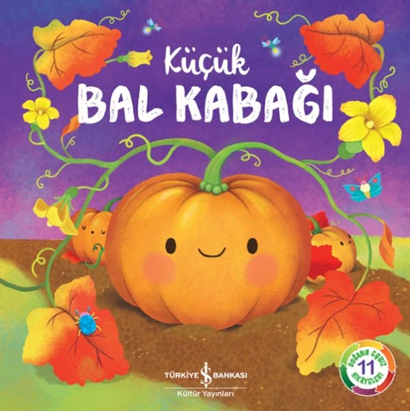 Küçük Bal Kabağı - 1