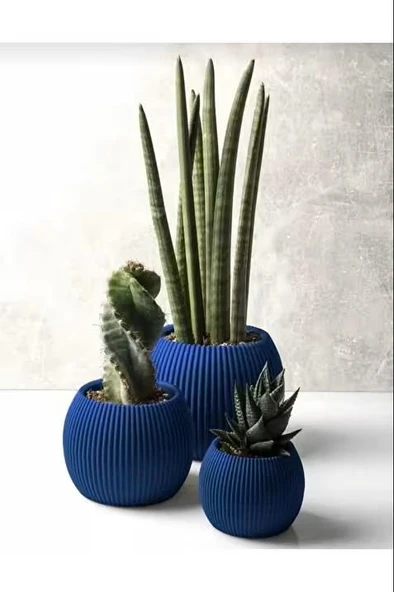 Omnipazar KRS Mercan Dekoratif Sukulent Kaktüs Plastik Saksı Takımı 3'lü Set Gece Mavisi ürün görseli