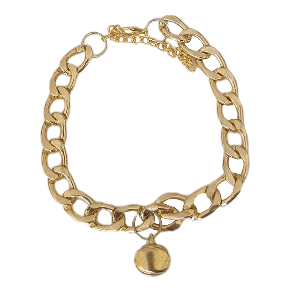 Kedi Ve Köpek Lüx Zincir Kolye 25-30 cm Medium Gold - 3