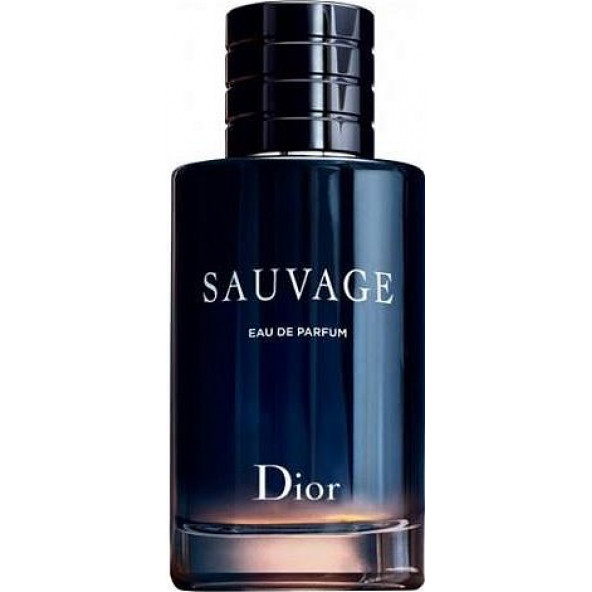 Christian Dior Sauvage 100 ML EDP - 2