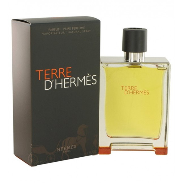 Hermes Terre D Hermes EDT 100 ml Erkek Parfümü