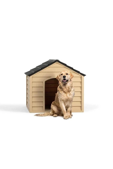 abnturk Köpek Klübesi -BAHÇE VE KAPI ÖNÜ - 1