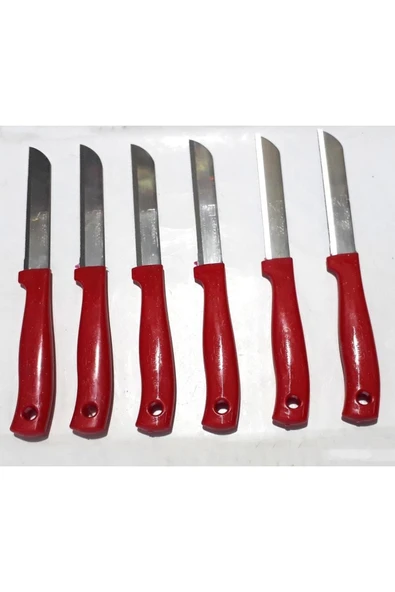 abnturk Orjinal Alman Solingen Testere Ağız Simli Kırmızı Sap 19cm 6lı - 5