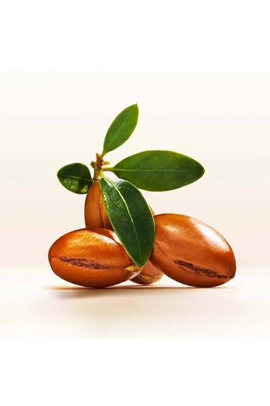 PANTENE Doğal Sentez Saç Bakım Serumu Argan Yağlı Elixir 100 Ml - 8