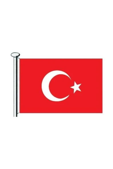 Saray Tuuml;rk Bayrağı 40x60 ürün görseli