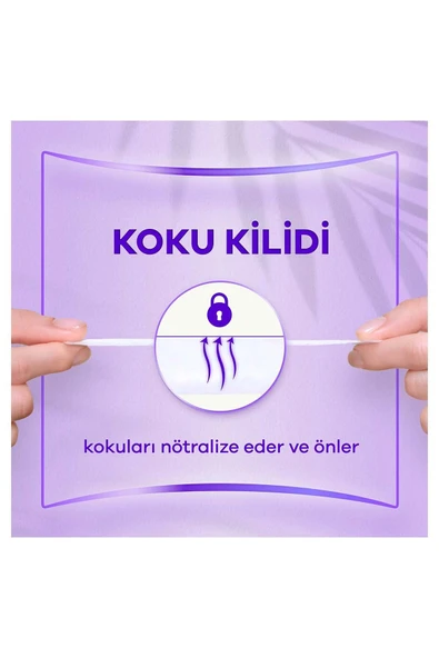 ORKİD Günlük Ped Normal Dev Ekonomi Paketi 80 Adet - 4