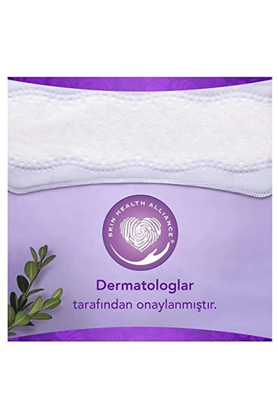 ORKİD Yaprak Günlük Ped Normal Dev Ekonomik Paket 100 Ped - 3