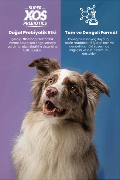 Reflex Plus Somonlu Mini ve Küçük Irk Yetişkin Köpek Maması 8 Kg - Resim 2