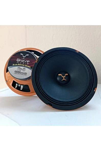 20cm Amfi Tipi 200w 100rms Midrange Hoparlör Takımı Br-8 - 4