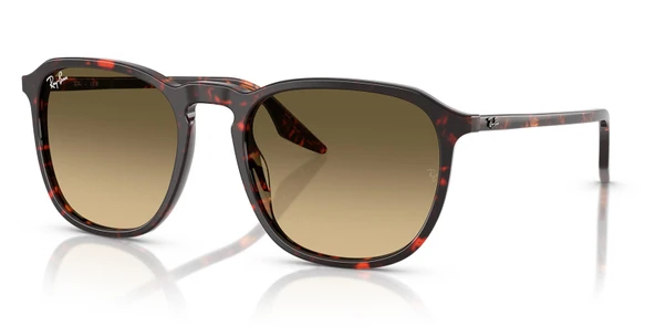 Ray-Ban RB2203 1429/0A 52 Unisex Güneş Gözlüğü ürün görseli 1