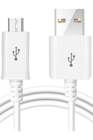 SPRANGE Gökkuşağı Jbl Go2 Uyumlu Şarj Kablosu Mikro USB Şarj Kablosu - 2